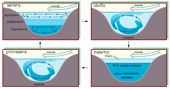 ciclos temperatura lagos