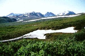 Tundra en Alaska