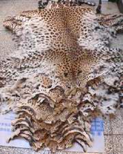 Pieles de leopardo a la venta en China