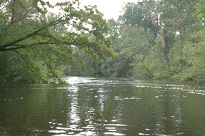 Río Lynches