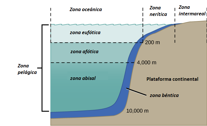 Zonas del oceano
