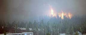 Fuego de copas en el parque nacional Yellowstone,