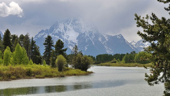 Scene From Our Vacation In Yellowstone And Grand Teton National Parks