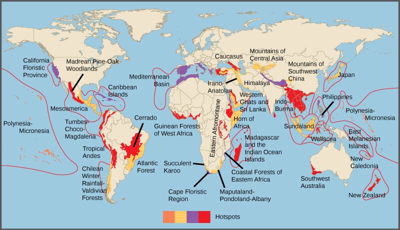 Biodiversity Hotspots