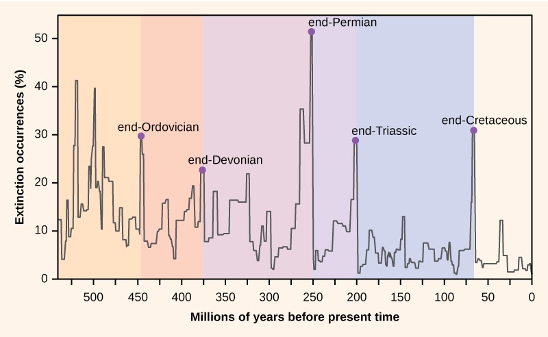  intensidad de la extinción,