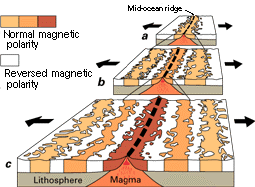 Magnetic Strippingfig7