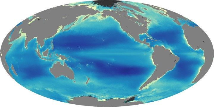 Modis chlorophyll 2002