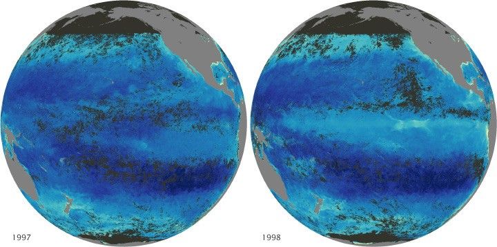 Seawifs chlorophyll pacific 199712